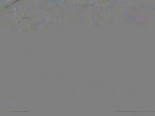 Stickam 饼干 闪烁 胸罩